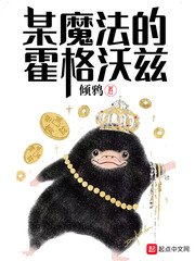 (HP同人)某魔法的霍格沃茨