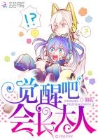 觉醒吧,会长大人!
