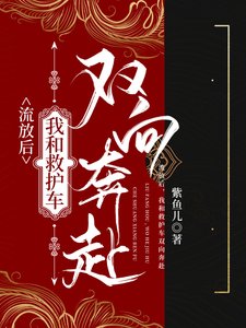 流放路,我和救护车双向奔赴